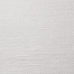 Premium Canvas Texture