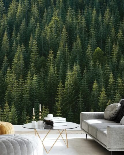 Dense Green Pine Forest